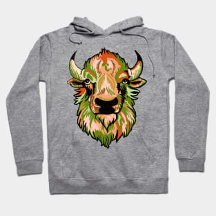 Mindful Vivid Buffalo in Orange & Green Hoodie